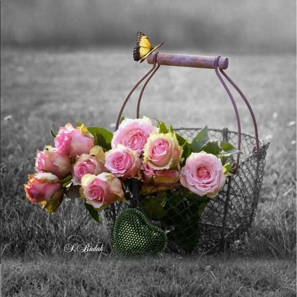 Meet your Posher, Eliane - Picture 1 of 1